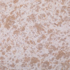 Арт. 310